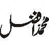 محمد افضل — شخصی نام
