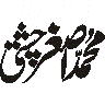 محمد فرخی چیف — شخصی نام یا سیاسی عہدہ