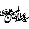 سید عطا امین — شخصی نام