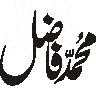 محمد افضل — شخصی نام خطاطی
