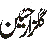گلزارِ امین — نام کی خطاطی