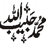 محمد حبیب اللہ — اسلامی خطاطی نام