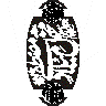 مہر نبوت ﷺ — نقشِ محمدی