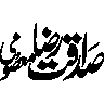 صادق رضا رضوی — شخصی نام