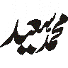 محمد سعید — شخصی نام