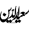 سعید الدین — شخصی نام