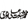 شھادۃ التخصص فی اللغۃ العربیۃ — تعلیمی سند کا عنوان