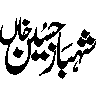 شہباز زمین — تاریخی یا شخصی عنوان