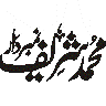 محمد منیر نقشبندی — شخصی نام خطاطی