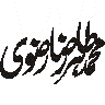 طاہر رضا رضوی — نام یا تخلص