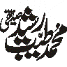 محمد حبیب — شخصی نام خطاطی