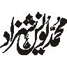 محمد معین شہزاد — شخصی نام